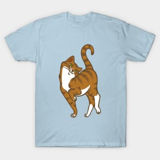 Begging for Pettings--Ginger Style T-Shirt